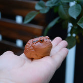 Tea Pets | Zisha Verdant Frog